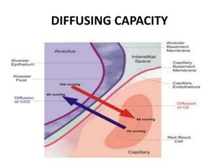 DIFFUSING CAPACITY
 