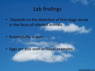 Lab findings
• Depends on the detection of first stage larvae
in the faces of infested animals.
• Eosinophillia is seen
• Eggs are also seen in faecal examples.
 