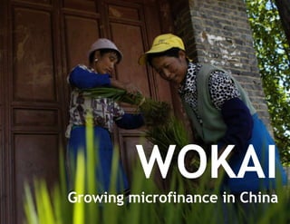 WOKAIGrowing microfinance in China 