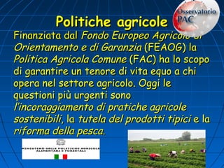 Politiche agricole
Finanziata dal Fondo Europeo Agricolo di
Orientamento e di Garanzia (FEAOG) la
Politica Agricola Comune (FAC) ha lo scopo
di garantire un tenore di vita equo a chi
opera nel settore agricolo. Oggi le
questioni più urgenti sono
l’incoraggiamento di pratiche agricole
sostenibili, la tutela del prodotti tipici e la
riforma della pesca.
 