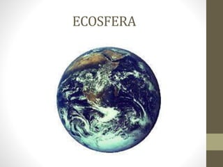 ECOSFERA
 