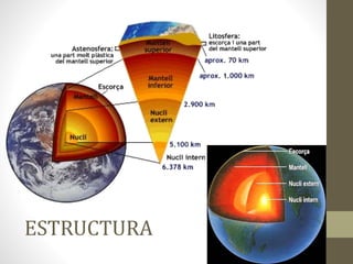 ESTRUCTURA
 