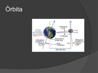 Òrbita
 