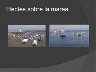 Efectes sobre la marea
 