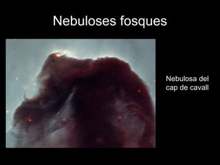 Nebuloses fosques
Nebulosa del
cap de cavall
 