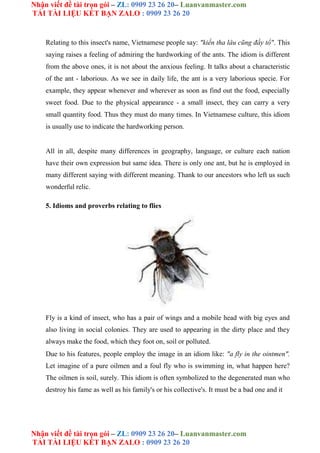 Luận Văn Contrastive Analysis Of English And Vietnamese Idioms And ...