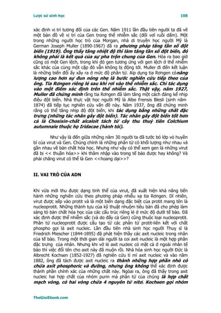 Lược sử sinh học                                                         108


xác định vị trí tương đối của các Gen. Năm 1911 lần đầu tiên người ta đã vẽ
một bản đồ về vị trí của Gen trong thể nhiễm sắc (đối vơí ruồi dấm). Một
trong những người học trò của Morgan, nhà di truyền học người Mỹ là
German Joseph Muller (1890-1967) đã ra phương pháp tăng tần số đột
biến (1919). Ông thấy tăng nhiệt độ thì làm tăng tần số đột biến, đó
không phải là kết quả của sự pha trộn chung của Gen. Hóa ra bao giờ
cũng có một Gen lệch, trong khi đó gen tương ứng với gen lệch ở thể nhiễm
sắc khác của cùng một cặp đó vẫn không bị động tới. Muller đi đến kết luận
là những biến đổi ấy xãy ra ở mức độ phân tử. Aïp dụng tia Rơngen cónăng
lượng cao hơn sự đun nóng nhẹ là bước nghiên cứu tiếp theo của
ông. Tia Rơngen riêng lẻ sau khi rơi vào thể nhiễm sắc. Chỉ tác dụng
vào một điểm xác định trên thể nhiễm sắc. Thật vậy, năm 1927,
Muller đã chứng minh rằng tia Rơngen đã làm tăng một cách đáng kể nhịp
điệu đột biến. Nhà thực vật học người Mỹ là Albe Frensis Blesli (sinh năm
1874) đã tiếp tục nghiên cứu vấn đề này. Năm 1937, ông đã chứng minh
rằng có thể tăng nhịp độ đột biến, khi tác dụng bằng những chất đặc
trưng (những tác nhân gây đột biến). Tác nhân gây đột biến tốt hơn
cả là Chosixin-chất alcaloit tách từ cây thu thuỷ tiên Colchium
autumnale thuộc họ Iridacae (hành tỏi).

         Như vậy là đến giữa những năm 30 người ta đã tước bỏ lớp vỏ huyền
bí của virut và Gen. Chúng chính là những phân tử có khối lượng như nhau và
gần nhau về bản chất hóa học. Nhưng như vậy có thể xem gen là những virut
đã bị << thuần hóa>> khi thâm nhập vào trong tế bào được hay không? Và
phải chăng virut có thể là Gen <<hoang dại>>?


II. VAI TRÒ CỦA ADN


Khi vừa mới thu được dạng tinh thể của virut, đã xuất hiện khả năng tiến
hành những nghiên cứu theo phương pháp nhiễu xạ tia Rơngen. Dĩ nhiên,
virut được xếp vào protit và là một biến dạng đặc biệt của protit mang tên là
nucleoprotit. Những thành tựu của kỹ thuật nhuộm tiêu bản đã cho phép làm
sáng tỏ bản chất hóa học của các cấu trúc riêng lẻ ở mức độ dưới tế bào. Ðã
xác định được thể nhiễm sắc (và do đấy cả Gen) cũng thuộc loại nucleoprotit.
Phân tử nucleoprotit được cấu tạo từ các phân tử protit-liên kết với chất
phospho gọi là axit nucleic. Lần đầu tiên nhà sinh học người Thuỵ sĩ là
Friedrich Miescher (1844-1895) đã phát hiện thầy các axit nucleic trong nhân
của tế bào. Trong một thời gian dài người ta coi axit nucleic là một hợp phân
đặc trưng của nhân. Nhưng khi vở lẻ axit nucleic có mặt cả ở ngoài nhân tế
bào thì việc đổi tên cho axit này đã muộn rồi. Nhà hóa sinh học người Ðức là
Albrecht Kochsen (1852-1927) đã nghiên cứu tỉ mỉ axit nucleic và vào năm
1882, ông đã tách được axit nucleic ra thành những hợp phần nhỏ có
chứa axit phosphoric và đường, nhưng ông không thể xác định được
thành phần chính xác của những chất này. Ngòai ra, ông đã thấy trong axit
nucleic hai hợp chất của nhóm purin mà phân tử của chúng là hợp chất
mạch vòng, có hai vòng chứa 4 nguyên tử nitơ. Kochsen gọi nhóm


TheGioiEbook.com
 