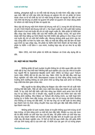 Lược sử sinh học                                                          112


đường, phosphat duỗi ra và mỗi một bộ khung là một hình mẫu dập ra bản
sao mới. Bất cứ chỗ nào trên bộ khung có adenin thì chỉ có phân tử timin
được chọn ra từ số chất dự trử có mặt trong tế bào và ngược lại. Bất cứ nơi
nào trên bộ khung có phân tử guanin thì phân tử guanin chỉ chọn đúng phân
tử xitizin có mặt trong tế bào và ngược lại.

Như vậy bộ khung một hình thành bộ khung mới số 2; trong khi đó bộ khung
cũ số 2 hình thành bộ khung mới số 1. Hai mạch xoắn ốc mới xuất hiện tương
đối nhanh ở nơi mà trước đó chỉ có một mạch xoắn ốc. Nếu phân tử ADN ban
đầu chạy dọc theo chiều dài của thể nhiễm sắc (hoặc virut), thì quá trình
được kết thúc bằng sự hình thành hai thể nhiễm sắc giống in như nhau ở nơi
mà trước đó chỉ có một thể nhiễm sắc. Nhưng không phải quá trình này lúc
nào cũng diễn ra trơn tru toàn vẹn. Nếu có một tác động nào đó làm rối loạn
quá trình tự sao chép này, thì phân tử ADN mới hình thành sẽ hơi khác với
phân tư ADN <<tổ tiên>> của mình, trường hợp này sẽ coi như là sự đột
biến.

       Năm 1953, mô hình phân tử ADN do Watson và Crick xây dựng đã ra
đời.


IV. MẬT MÃ DI TRUYỀN


         Những phân tữ axit nucleic truyền thông tin có liên quan đến các tính
chất vật lý học như thế nào? Những kết quả nghiên cứu của các nhà di truyền
học người Mỹ là JojeUensơ Beadle (sinh năm 1903) và Edua Lauri Teitum
(sinh năm 1909) đã trả lời câu hỏi này. Năm 1941 họ đã bắt đầu một loại
thực nghiệm với nấm mốc Neurospora crassa có khả năng sống trong môi
trường dinh dưỡng không có axit amin nhờ sự tổng hợp axit amin từ những
hợp chất khá đơn giản chứa nitơ.

          Nếu người ta tác động bằng tia Rơgen vào nấm men thì sẽ xuất hiện
những thể đột biến. Một số nấm men mất khả năng tạo thành axit amin cần
thiết. Ví dụ một thể đột biến mất khả năng tạo thành acid amin lizin thì để
duy trì sự sống cho nòi vi khuẩn này, người ta phải cho thêm lizin vào môi
trường dinh dưỡng. Như Bidon và Teitum đã chứng minh, sự mất hoạt tính
tương tự vì thiếu men đặc trưng, mà men này chỉ có trong nòi bình thường
chứ không có trong nòi đột biến. Từ đó hai ông rút ra kết luận là khả năng
tạo thành lizin là chức năng chuyển hóa của một gen đặc biệt điều khiển sự
tạo thành men đó.

         Những phân tử axit nucleic được di truyền thông qua tinh trùng và tế
bào trứng, có khả năng sinh ra một bộ men đặc biệt. Nhiệm vụ của các men
đó là điều khiển cơ chế hóa học của tế bào. Về phần mình cơ chế hóa học
này lại chịu trách nhiệm về mọi tính chất mà đặc tính di truyền của các tính
chất này đã được nghiên cứu. Vì thế có thể bỏ qua chiếc cầu nối giữa ADN
với các tính trạng vật lý của sinh vật. Vì ADN của các gen chỉ có trong phạm


TheGioiEbook.com
 