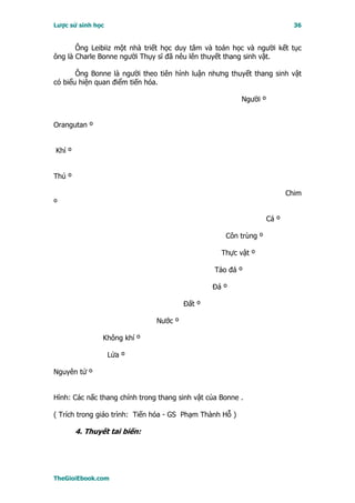 Lược sử sinh học                                                             36


       Ông Leibiiz một nhà triết học duy tâm và toán học và người kết tục
ông là Charle Bonne người Thụy sĩ đã nêu lên thuyết thang sinh vật.

       Ông Bonne là người theo tiên hình luận nhưng thuyết thang sinh vật
có biểu hiện quan điểm tiến hóa.

                                                          Người º


Orangutan º


Khỉ º


Thú º

                                                                           Chim
º

                                                                    Cá º

                                                    Côn trùng º

                                                   Thực vật º

                                                 Tảo đá º

                                                Ðá º

                                        Ðất º

                               Nước º

                Không khí º

                   Lửa º

Nguyên tử º


Hình: Các nấc thang chính trong thang sinh vật của Bonne .

( Trích trong giáo trình: Tiến hóa - GS Phạm Thành Hỗ )

        4. Thuyết tai biến:




TheGioiEbook.com
 