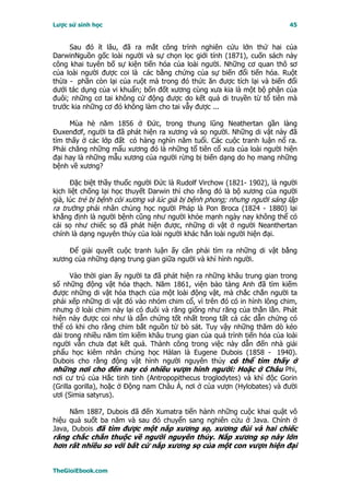 Lược sử sinh học                                                          45


     Sau đó ít lâu, đã ra mắt công trình nghiên cứu lớn thứ hai của
DarwinNguồn gốc loài người và sự chọn lọc giới tính (1871), cuốn sách này
công khai tuyên bố sự kiện tiến hóa của loài người. Những cơ quan thô sơ
của loài người được coi là các bằng chứng của sự biến đổi tiến hóa. Ruột
thừa - phần còn lại của ruột mà trong đó thức ăn được tích lại và biến đổi
dưới tác dụng của vi khuẩn; bốn đốt xương cùng xưa kia là một bộ phận của
đuôi; những cơ tai không cử động được do kết quả di truyền từ tổ tiên mà
trước kia những cơ đó không làm cho tai vẫy được ...

     Mùa hè năm 1856 ở Ðức, trong thung lũng Neathertan gần làng
Ðuxenđơf, người ta đã phát hiện ra xương và sọ người. Những di vật này đã
tìm thấy ở các lớp đất có hàng nghìn năm tuổi. Các cuộc tranh luận nổ ra.
Phải chăng những mẩu xương đó là những tổ tiên cổ xưa của loài người hiện
đại hay là những mẫu xương của người rừng bị biến dạng do họ mang những
bệnh về xương?

      Ðặc biệt thầy thuốc người Ðức là Rudolf Virchow (1821- 1902), là người
kịch liệt chống lại học thuyết Darwin thì cho rằng đó là bộ xương của người
già, lúc trẻ bị bệnh còi xương và lúc già bị bệnh phong; nhưng người sáng lập
ra trường phái nhân chủng học người Pháp là Pon Broca (1824 - 1880) lại
khẳng định là người bệnh cũng như người khỏe mạnh ngày nay không thể có
cái sọ như chiếc sọ đã phát hiện được, những di vật ở người Neanthertan
chính là dạng nguyên thủy của loài người khác hẳn loài người hiện đại.

    Ðể giải quyết cuộc tranh luận ấy cần phải tìm ra những di vật bằng
xương của những dạng trung gian giữa người và khỉ hình người.

       Vào thời gian ấy người ta đã phát hiện ra những khâu trung gian trong
số những động vật hóa thạch. Năm 1861, viện bảo tàng Anh đã tìm kiếm
được những di vật hóa thạch của một loài động vật, mà chắc chắn người ta
phải xếp những di vật đó vào nhóm chim cổ, vì trên đó có in hình lông chim,
nhưng ở loài chim này lại có đuôi và răng giống như răng của thằn lằn. Phát
hiện này được coi như là dẫn chứng tốt nhất trong tất cả các dẫn chứng có
thể có khi cho rằng chim bắt nguồn từ bò sát. Tuy vậy những thăm dò kéo
dài trong nhiều năm tìm kiếm khâu trung gian của quá trình tiến hóa của loài
người vẫn chưa đạt kết quả. Thành công trong việc này dẫn đến nhà giải
phẩu học kiêm nhân chủng học Hàlan là Eugene Dubois (1858 - 1940).
Dubois cho rằng động vật hình người nguyên thủy có thể tìm thấy ở
những nơi cho đến nay có nhiều vượn hình người: Hoặc ở Châu Phi,
nơi cư trú của Hắc tinh tinh (Antropopithecus troglodytes) và khỉ độc Gorin
(Grilla gorilla), hoặc ở Ðộng nam Châu Á, nơi ở của vượn (Hylobates) và đười
ươi (Simia satyrus).

     Năm 1887, Dubois đã đến Xumatra tiến hành những cuộc khai quật vô
hiệu quả suốt ba năm và sau đó chuyển sang nghiên cứu ở Java. Chính ở
Java, Dubois đã tìm được một nắp xương sọ, xương đùi và hai chiếc
răng chắc chắn thuộc về người nguyên thủy. Nắp xương sọ này lớn
hơn rất nhiều so với bất cứ nắp xương sọ của một con vượn hiện đại


TheGioiEbook.com
 