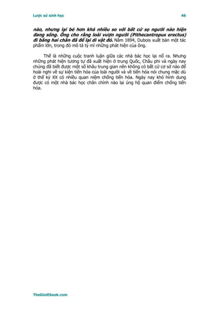 Lược sử sinh học                                                         46


nào, nhưng lại bé hơn khá nhiều so với bất cứ sọ người nào hiện
đang sống. Ông cho rằng loài vượn người (Pithecantropus erectus)
đi bằng hai chân đã để lại di vật đó. Năm 1894, Dubois xuất bản một tác
phẩm lớn, trong đó mô tả tỷ mĩ những phát hiện của ông.

     Thế là những cuộc tranh luận giữa các nhà bác học lại nổ ra. Nhưng
những phát hiện tương tự đã xuất hiện ở trung Quốc, Châu phi và ngày nay
chúng đã biết được một số khâu trung gian nên không có bất cứ cơ sở nào để
hoài nghi về sự kiện tiến hóa của loài người và về tiến hóa nói chung mặc dù
ở thế kỷ XX có nhiều quan niệm chống tiến hóa. Ngày nay khó hình dung
được có một nhà bác học chân chính nào lại ủng hộ quan điểm chống tiến
hóa.




TheGioiEbook.com
 