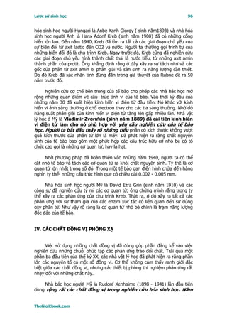 Lược sử sinh học                                                         96


hóa sinh học người Hungari là Anbe Xanh Giorgy ( sinh năm1893) và nhà hóa
sinh học người Anh là Hanx Adonf Kreb (sinh năm 1900) đã có những cống
hiến lớn lao. Ðến năm 1940, Kreb đã tìm ra tất cả các giai đoạn chủ yếu của
sự biến đổi từ axit lactic đến CO2 và nước. Người ta thường gọi trình tự của
những biến đổi đó là chu trình Kreb. Ngay trước đó, Kreb cũng đã nghiên cứu
các giai đoạn chủ yếu hình thành chất thải là nước tiểu, từ những axit amin
thành phần của protit. Ông khẳng định rằng ở đây xãy ra sự tách nitơ và các
gốc của phân tử axit amin bị phân giải và sản sinh ra năng lượng cần thiết.
Do đó Kreb đã xác nhận tính đúng đắn trong giả thuyết của Rubne đề ra 50
năm trước đó.

     Nghiên cứu cơ chế bên trong của tế bào cho phép các nhà bác học mở
rộng những quan điểm về cấu trúc tinh vi của tế bào. Vào thời kỳ đầu của
những năm 30 đã xuất hiện kính hiển vi điện tử đầu tiên. Nó khác với kính
hiển vi ánh sáng thường ở chổ electron thay cho các tia sáng thường. Nhờ đó
năng suất phân giải của kính hiển vi điện tử tăng lên gấp nhiều lần. Nhà vật
lý học ở Mỹ là Vladimir Zvorưkin (sinh năm 1889) đã cải tiến kính hiển
vi điện tử làm cho nó phù hợp với yêu cầu nghiên cứu của tế bào
học. Người ta bắt đầu thấy rõ những tiểu phần có kích thước không vượt
quá kích thước của phân tử lớn là mấy. Ðã phát hiện ra rằng chất nguyên
sinh của tế bào bao gồm một phức hợp các cấu trúc hữu cơ nhỏ bé có tổ
chức cao gọi là những cơ quan tử, hay là hạt.

     Nhờ phương pháp đã hoàn thiện vào những năm 1940, người ta có thể
cắt nhỏ tế bào và tách các cơ quan tử ra khỏi chất nguyên sinh. Ty thể là cơ
quan tử lớn nhất trong số đó. Trong một tế bào gan điển hình chứa đến hàng
nghìn ty thể- những cấu trúc hình que có chiều dài 0.002 - 0.005 mm.

     Nhà hóa sinh học người Mỹ là David Ezra Grin (sinh năm 1910) và các
cộng sự đã nghiên cứu tỷ mỉ các cơ quan tử, ông chứng minh rằng trong ty
thể xãy ra các phản ứng của chu trình Kreb. Thật ra, ở đó xãy ra tất cả các
phản ứng với sự tham gia của các enzim xúc tác có liên quan đến sự dùng
oxy phân tử. Như vậy rõ ràng là cơ quan tử nhỏ bé chính là trạm năng lượng
độc đáo của tế bào.


IV. CÁC CHẤT ÐỒNG VỊ PHÓNG XẠ


      Việc sử dụng những chất đồng vị đã đóng góp phần đáng kể vào việc
nghiên cứu những chuỗi phức tạp các phản ứng trao đổi chất. Trải qua một
phần ba đầu tiên của thế kỷ XX, các nhà vật lý học đã phát hiện ra rằng phần
lớn các nguyên tố có một số đồng vị. Cơ thể không cảm thấy ranh giới đặc
biệt giữa các chất đồng vị, nhưng các thiết bị phòng thí nghiệm phản ứng rất
nhạy đối với những chất này.

     Nhà bác học người Mỹ là Rudonf Xenhaime (1898 - 1941) lần đầu tiên
dùng rộng rãi các chất đồng vị trong nghiên cứu hóa sinh học. Năm


TheGioiEbook.com
 