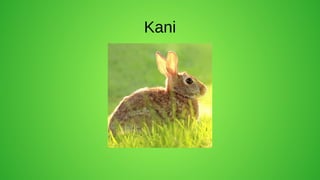Kani
 