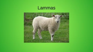 Lammas
 
