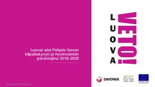 Luovat alat Pohjois-Savon
kilpailukyvyn ja hyvinvoinnin
parantajina 2018-2020
 