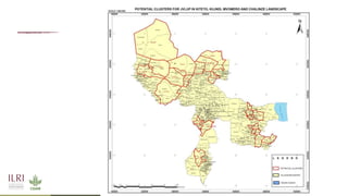 Planning across borders for improved rangeland management: the case of JVLUP in Tanzania