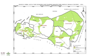 Planning across borders for improved rangeland management: the case of JVLUP in Tanzania