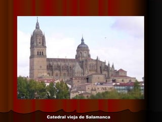 Catedral vieja de SalamancaCatedral vieja de Salamanca
 