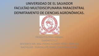 UNIVERSIDAD DE EL SALVADOR
FACULTAD MULTIDISCIPLINARIA PARACENTRAL
DEPARTAMENTO DE CIENCIAS AGRONÓMICAS.
PARASITOLOGÍA ANIMAL
DIAGNOSTICO
DOCENTE: DR. MSc PEDRO ALONZO PÉREZ BARRAZA
BACHILLER: GUADALUPE ISABEL NAJARRO GARCÍA.
 