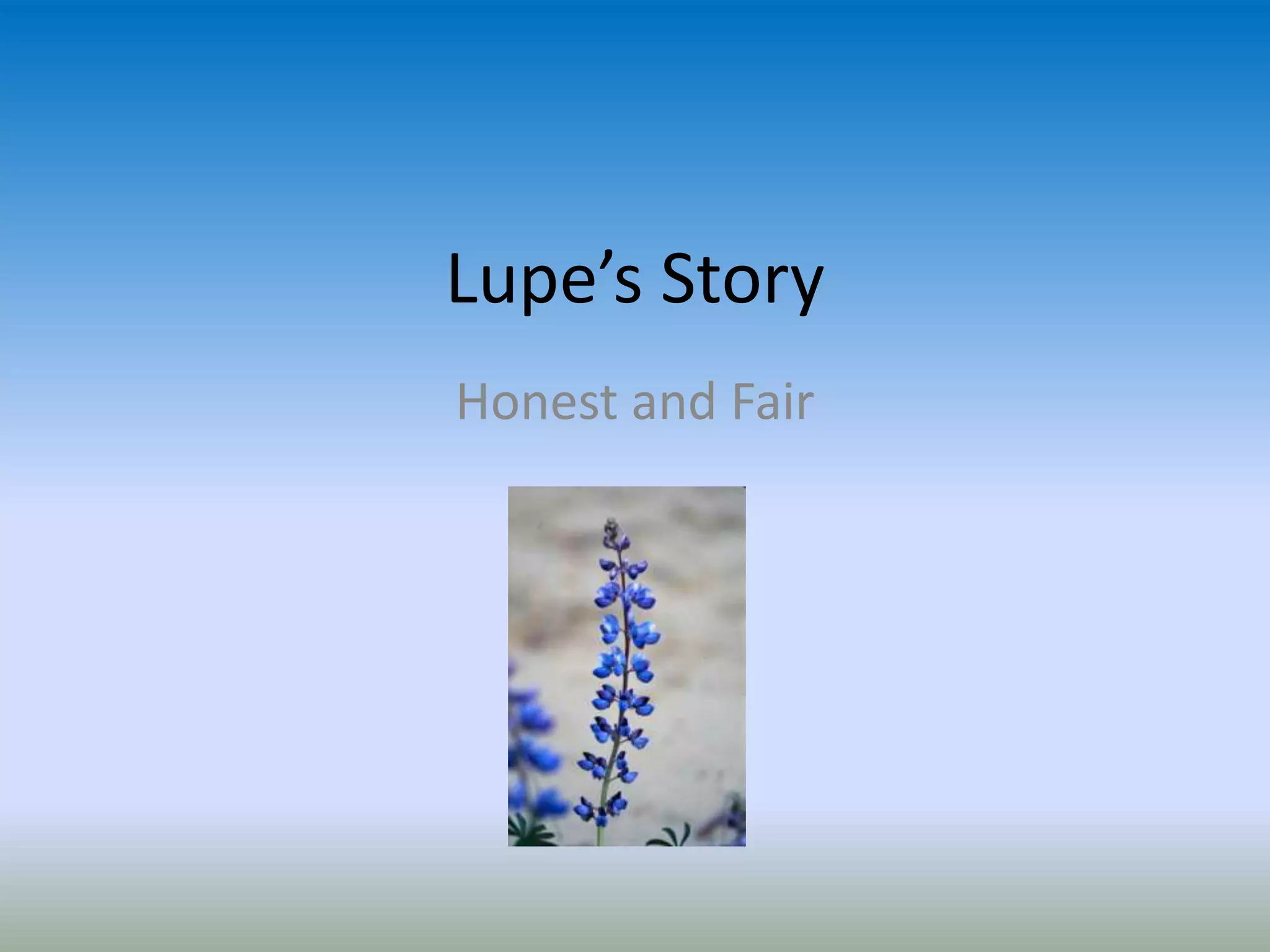 Lupe’s Story
Honest and Fair