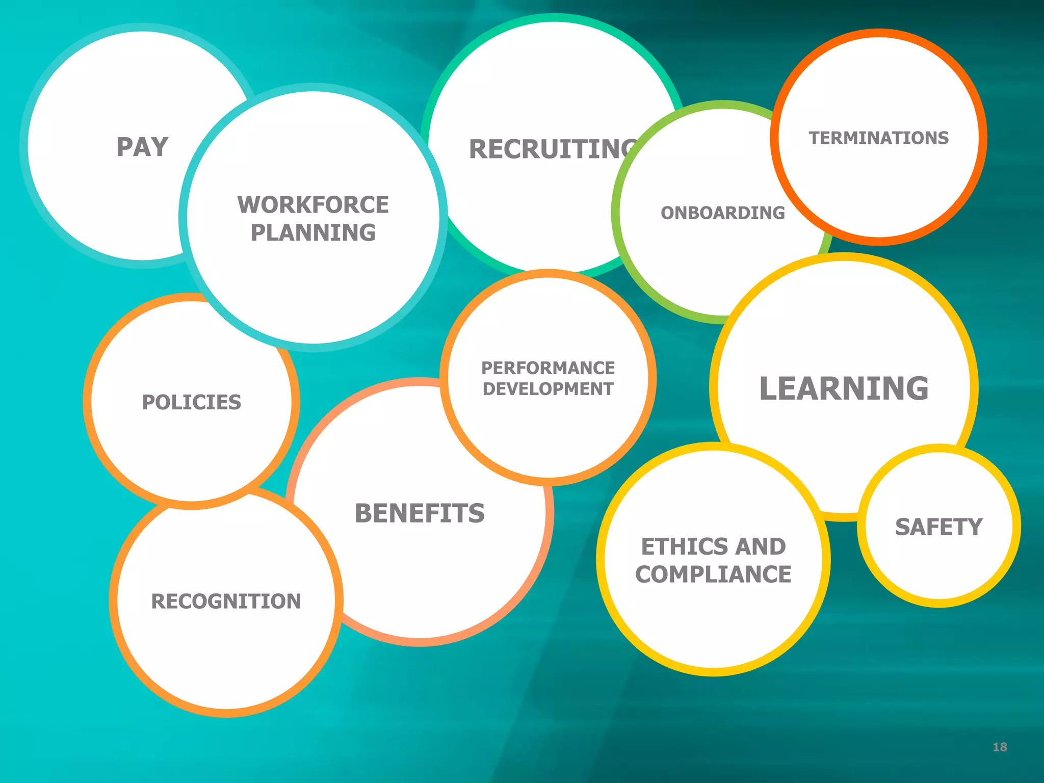 18
RECRUITING
ONBOARDING
BENEFITS
LEARNING
RECOGNITION
PERFORMANCE
DEVELOPMENT
ETHICS AND
COMPLIANCE
TERMINATIONS
SAFETY
PAY
POLICIES
WORKFORCE
PLANNING
 