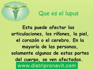El lupus afecta
principalmente a las mujeres y
en una época de la vida en la
que se es fértil. Se han
descrito además caso...