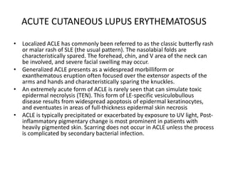 ACUTE CUTANEOUS LUPUS ERYTHEMATOSUS
• Localized ACLE has commonly been referred to as the classic butterfly rash
or malar rash of SLE (the usual pattern). The nasolabial folds are
characteristically spared. The forehead, chin, and V area of the neck can
be involved, and severe facial swelling may occur.
• Generalized ACLE presents as a widespread morbilliform or
exanthematous eruption often focused over the extensor aspects of the
arms and hands and characteristically sparing the knuckles.
• An extremely acute form of ACLE is rarely seen that can simulate toxic
epidermal necrolysis (TEN). This form of LE-specific vesiculobullous
disease results from widespread apoptosis of epidermal keratinocytes,
and eventuates in areas of full-thickness epidermal skin necrosis
• ACLE is typically precipitated or exacerbated by exposure to UV light, Post-
inflammatory pigmentary change is most prominent in patients with
heavily pigmented skin. Scarring does not occur in ACLE unless the process
is complicated by secondary bacterial infection.
 