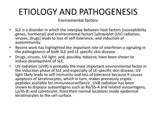ETIOLOGY AND PATHOGENESIS
Enviromental factors
• SLE is a disorder in which the interplay between host factors (susceptibility
genes, hormonal) and environmental factors [ultraviolet (UV) radiation,
viruses, drugs] leads to loss of self-tolerance, and induction of
autoimmunity.
• Recent work has highlighted the important role of interferon-a signaling in
the pathogenesis of both SLE and LE specific skin disease.
• Drugs, viruses, UV light, and, possibly, tobacco, have been shown to
induce development of SLE.
• UV radiation (UVR) is probably the most important environmental factor in
the induction phase of SLE and especially of LE-specific skin disease, UV
light likely leads to self-immunity and loss of tolerance because it causes
apoptosis of keratinocytes, which in turn, makes previously cryptic
peptides available for immunosurveillance , UVB radiation has been
shown to displace autoantigens such as Ro/SS-A and related autoantigens,
La/SS-B, and calreticulin, from their normal locations inside epidermal
keratinocytes to the cell surface.
 