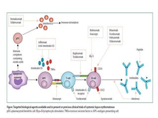  Lupus Erythematosus for dermatologists