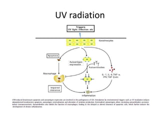 UV radiation
 