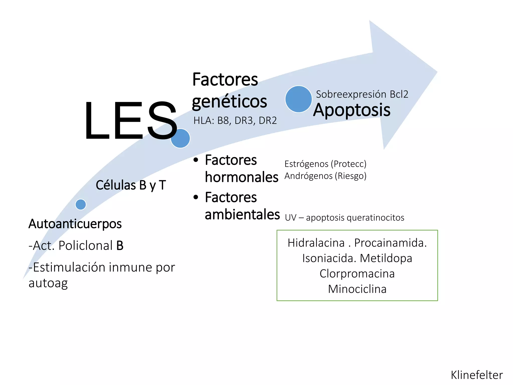 Lupus eritematoso sistémico (LES) y Síndrome antifosfolípidos | PPT