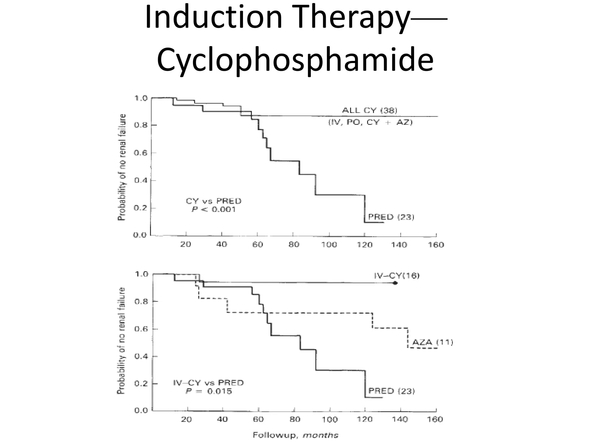 Induction Therapy—
Cyclophosphamide
 