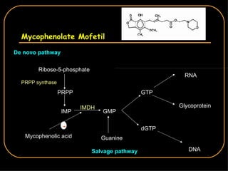 Mycophenolate Mofetil De novo pathway Ribose-5-phosphate PRPP PRPP synthase IMP GMP GTP RNA Glycoprotein dGTP DNA Guanine Mycophenolic acid Salvage pathway - IMDH 