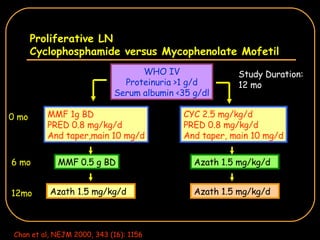 Proliferative LN Cyclophosphamide versus Mycophenolate Mofetil WHO IV Proteinuria >1 g/d Serum albumin <35 g/dl MMF 1g BD PRED 0.8 mg/kg/d And taper,main 10 mg/d CYC 2.5 mg/kg/d PRED 0.8 mg/kg/d And taper, main 10 mg/d MMF 0.5 g BD Azath 1.5 mg/kg/d   Azath 1.5 mg/kg/d   Azath 1.5 mg/kg/d   6 mo 12mo 0 mo Study Duration: 12 mo Chan et al, NEJM 2000, 343 (16): 1156 
