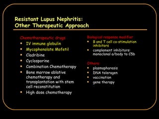 Resistant Lupus Nephritis:  Other Therapeutic Approach Chemotherapeutic drugs IV immune globulin Mycophenolate Mofetil Cladribine Cyclosporine Combination Chemotherapy Bone marrow ablative chemotherapy and transplantation with stem cell reconstitution High dose chemotherapy Biological response modifier B and T cell co-stimulation inhibitors complement inhibitors: monoclonal a/body to C5b Others: plasmapharesis DNA toleragen vaccination gene therapy 