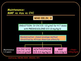Maintenance: MMF vs Aza vs CYC WHO III,IV, V INDUCTION: IV CYC 0.5 -1.0 g/m2 for 4-7 doses with PREDNISOLONE 0.5-1.0 mg/kg/d   Randomization: closed envelope method Stratified by African American ethnicity IV CYC 3/12 0.5-1.0 g/m2 AZATHIOPRINE 0.5-3.0 mg/kg/d MMF 0.5-3.0g/d + Pred < 0.5mg/kg/d Maintenance 1-3 years Contreras, NEJM 2004, 350(10): 971 