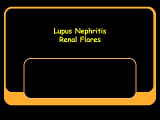 Lupus Nephritis Renal Flares 