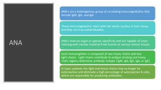 ANA
ANA's are a heterogenous group of circulating immunoglobulins that
include IgM, IgG, and IgA.
These immunoglobulins react with the whole nucleus in host tissue,
and they are true autoantibodies.
ANA's have no organ or species specificity and are capable of cross-
reacting with nuclear material from human or various animal tissues.
Each immunoglobin is composed of two heavy chains and two
light chains. Light chains contribute to antigen binding and heavy
chain regions determine antibody isotype ( IgM, IgD, IgG, IgA, or IgE).
In lupus patients the light and heavy chains may no longer be
autoreactive and eliminate a high percentage of autoreactive B-cells,
which are responsible for producing antibodies.
 