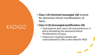 KADIGO
• Class I LN (minimal-mesangial LN) treated
for extrarenal clinical manifestations of
lupus.
• Class II LN (mesangial-proliferative LN)
• Treat patients with class II LN and proteinuria <1
g/d as dictated by the extrarenal clinical
manifestations of lupus.
• Proteinuria >3 g/d be treated with
corticosteroidsor CNIs as described for MCD
 
