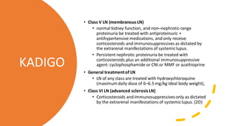 • Class V LN (membranous LN)
• normal kidney function, and non–nephrotic-range
proteinuria be treated with antiproteinuric +
antihypertensive medications, and only receive
corticosteroids and immunosuppressives as dictated by
the extrarenal manifestations of systemiclupus.
• Persistent nephrotic proteinuria be treated with
corticosteroids plus an additional immunosuppressive
agent: cyclophosphamide or CNI or MMF or azathioprine
• General treatmentof LN
• LN of any class are treated with hydroxychloroquine
(maximum daily dose of 6–6.5 mg/kg ideal body weight),
• Class VI LN (advanced sclerosis LN)
• Corticosteroids and immunosuppressives only as dictated
by the extrarenal manifestations of systemiclupus. (2D)
KADIGO
 