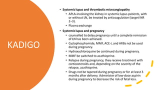 • Systemiclupus and thromboticmicroangiopathy
• APLA-involving the kidney in systemiclupus patients, with
or without LN, be treated by anticoagulation (target INR
2–3).
• Plasmaexchange
• Systemiclupus and pregnancy
• counselled to delay pregnancy until a complete remission
of LN has been achieved.
• Cyclophosphamide, MMF, ACE-I, and ARBs not be used
during pregnancy.
• Hydroxychloroquine be continued during pregnancy.
• MMF be switched to azathioprine.
• Relapse during pregnancy, they receive treatment with
corticosteroids and, depending on the severity of the
relapse, azathioprine.
• Drugs not be tapered during pregnancy or for at least 3
months after delivery. Administer of low-dose aspirin
during pregnancy to decrease the risk of fetal loss.
KADIGO
 