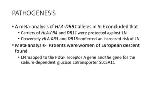 PATHOGENESIS
• A meta-analysis of HLA-DRB1 alleles in SLE concluded that
• Carriers of HLA-DR4 and DR11 were protected against LN
• Conversely HLA-DR3 and DR15 conferred an increased risk of LN
• Meta-analysis- Patients were women of European descent
found
• LN mapped to the PDGF receptor A gene and the gene for the
sodium-dependent glucose cotransporter SLC5A11
 