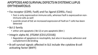 APOPTOSIS AND SURVIVALDEFECTSIN SYSTEMICLUPUS
ERYTHEMATOSUS
• Fas receptor (CD95; FasR) and Fas ligand (CD95L; FasL)
• FasL is only expressed on immune cells, whereas FasR is expressed on non-
immune cells as well
• juvenile onset of SLE an increased expression of FasR on T cells has been
detected
• Bcl-2 family
• either anti-apoptotic ( Bcl-2) or pro-apoptotic (Bim )
• Integrin alpha-M, (ITGAM (CD11/CD18))
• Regulation of apoptosis in neutrophils, but also in leucocyte adhesion and
complement C3b binding
• B-cell survival signals affected in SLE include the cytokine B-cell
activating factor (BAFF)
 