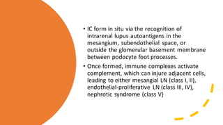 • IC form in situ via the recognition of
intrarenal lupus autoantigens in the
mesangium, subendothelial space, or
outside the glomerular basement membrane
between podocyte foot processes.
• Once formed, immune complexes activate
complement, which can injure adjacent cells,
leading to either mesangial LN (class I, II),
endothelial-proliferative LN (class III, IV),
nephrotic syndrome (class V)
 