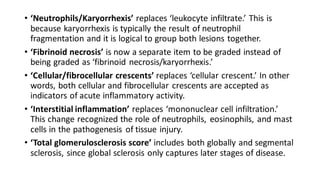 • ‘Neutrophils/Karyorrhexis’ replaces ‘leukocyte infiltrate.’ This is
because karyorrhexis is typically the result of neutrophil
fragmentation and it is logical to group both lesions together.
• ‘Fibrinoid necrosis’ is now a separate item to be graded instead of
being graded as ‘fibrinoid necrosis/karyorrhexis.’
• ‘Cellular/fibrocellular crescents’ replaces ‘cellular crescent.’ In other
words, both cellular and fibrocellular crescents are accepted as
indicators of acute inflammatory activity.
• ‘Interstitial inflammation’ replaces ‘mononuclear cell infiltration.’
This change recognized the role of neutrophils, eosinophils, and mast
cells in the pathogenesis of tissue injury.
• ‘Total glomerulosclerosis score’ includes both globally and segmental
sclerosis, since global sclerosis only captures later stages of disease.
 