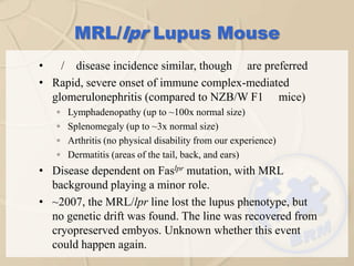 BRM's Validated Lupus Model | PPTX