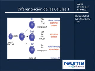 Diferenciación de las Células T
Rheumatol Int
(2012) 32:1225–
1229
 
