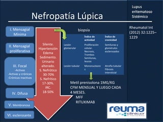 Silente.
Hipertensión
Edema
Sedimento.
Urinario
alterado.
S. Nefrótico
30-70%
S. Nefrítico
17-30%.
IRC.
18-50%
Silente.
Hipertensión
Edema
Sedimento.
Urinario
alterado.
S. Nefrótico
30-70%
S. Nefrítico
17-30%.
IRC.
18-50%
Nefropatía Lúpica
I. Mensagial
Mínima
II. Mensagial
proliferativa
III. Focal
-Activas
-Activas y crónicas
-Crónicas inactivas
IV. Difusa
V. Membranosa
VI. esclerosante
Índice de
actividad
Índice de
cronicidad
Lesión
glomerular
Proliferación
celular.
Necrosis,
Trombos
Semilunas,
leucos
Semilunas y
glomérulos
esclerosados
Lesión tubular Mononucleare
s
Atrofia tubular
Fibrosis
intersticial
biopsia
Metil prenisolona 1MG/KG
CFM MENSUAL Y LUEGO CADA
4 MESES.
MFF
RITUXIMAB
Rheumatol Int
(2012) 32:1225–
1229
 