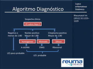 Algoritmo Diagnóstico
Sospecha clínica
IFI sobre Hep-2IFI sobre Hep-2
Negativo o
menos de 1:80
LES poco probable
Núcleo positivo
Mayor de 1:80
homogéneohomogéneo MoteadoMoteado
A-dsDNA ENAS Ribosonal
Citoplasma positivo
Mayor de 1:80
DifusoDifuso
LES probable
Rheumatol Int
(2012) 32:1225–
1229
 