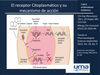 El receptor Citoplasmático y su
mecanismo de acción
Clin Exp Rheumatol
2011; 29 (Suppl. 68):
S13-S18.
Allergy Clin Immunol
2013;132:1033-44.
Trends in
Pharmacological
Sciences September
2013, Vol. 34, No. 9
Molecular and Cellular
Endocrinology 380 (2013)
32–40
 